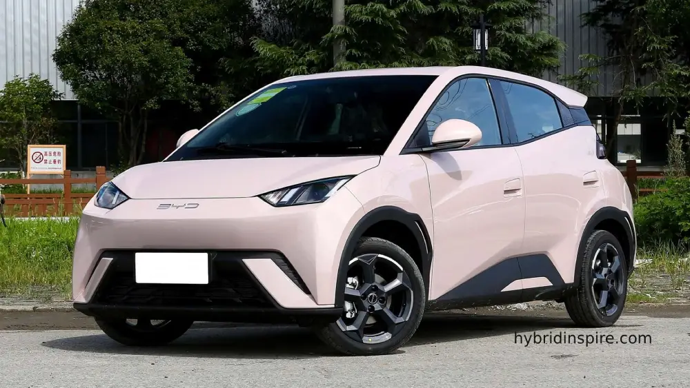 BYD Seagull